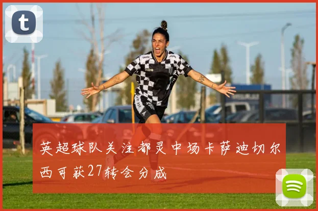 英超球队关注都灵中场卡萨迪切尔西可获27转会分成