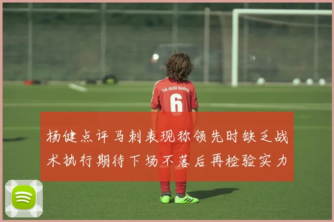 杨健点评马刺表现称领先时缺乏战术执行期待下场不落后再检验实力